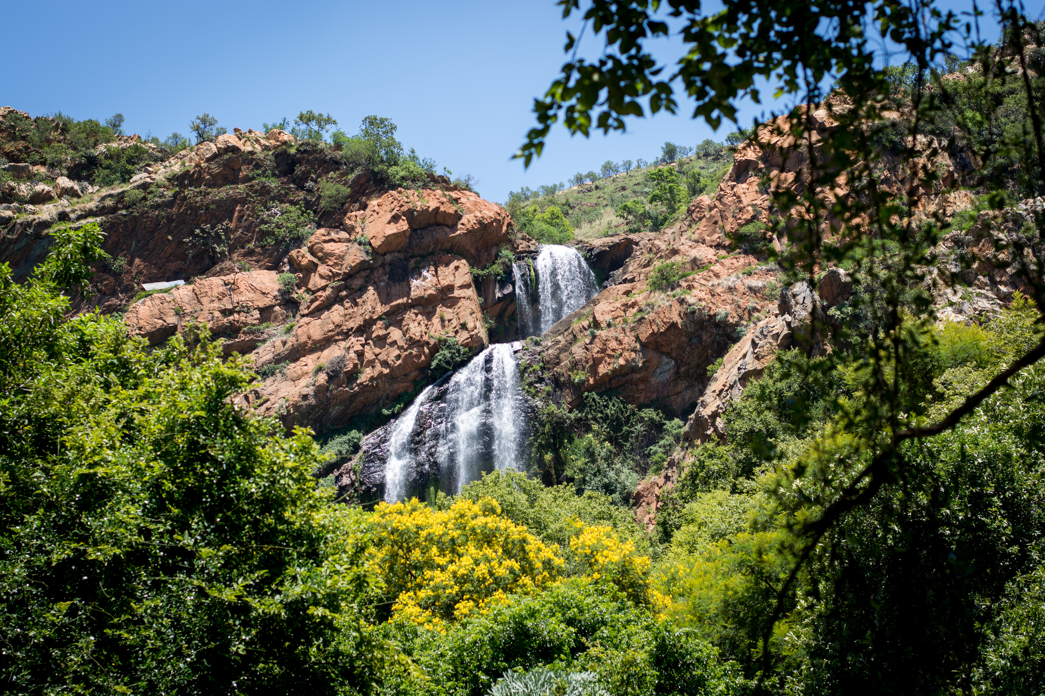 Wasserfall im Walter Sisulu National Botanical Garden in Roodepoort, Johannesburg