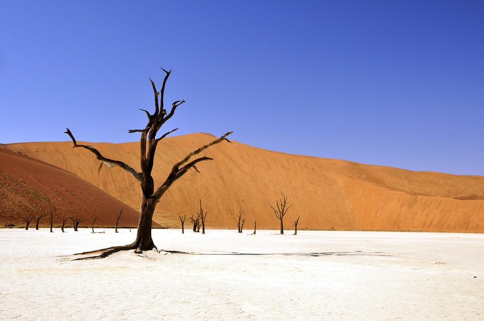 Solitude Namibia
