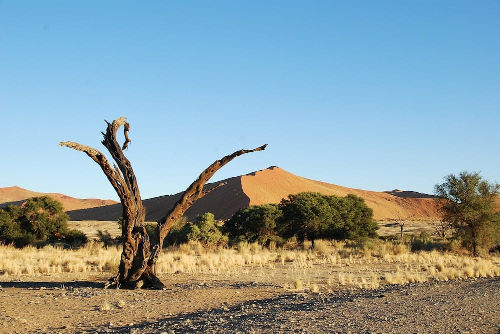 car-rental-namibia