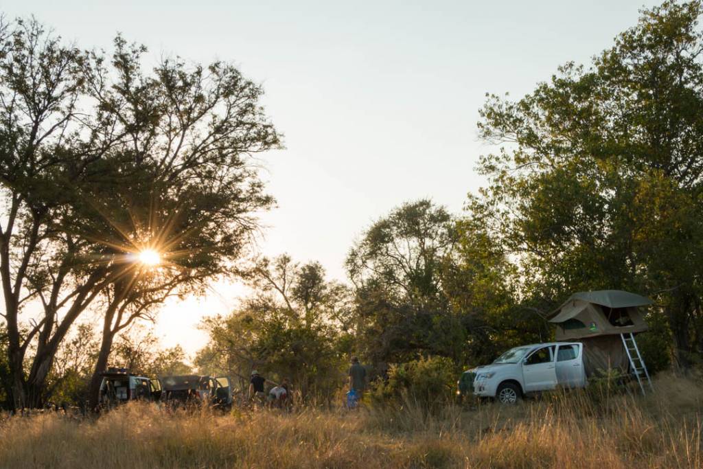 botswana campsite setup