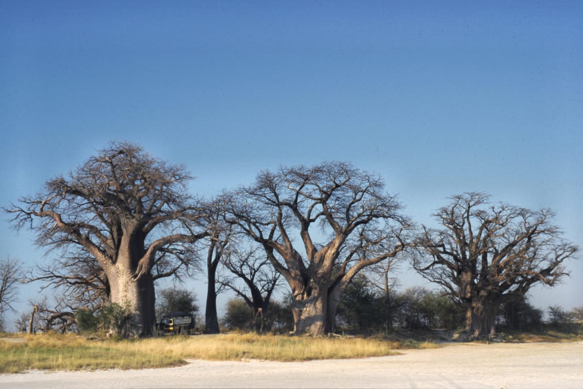 Car-rental-Botswana