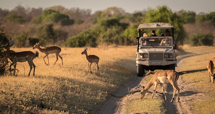 driving through Botswana