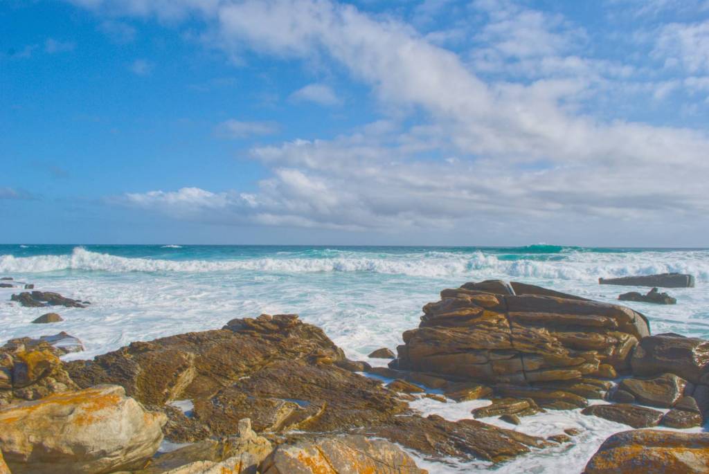 port elizabeth