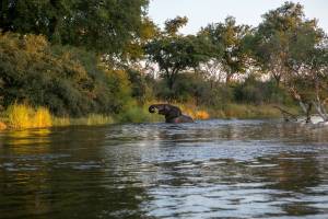 self-drive safari in livingstone zambia