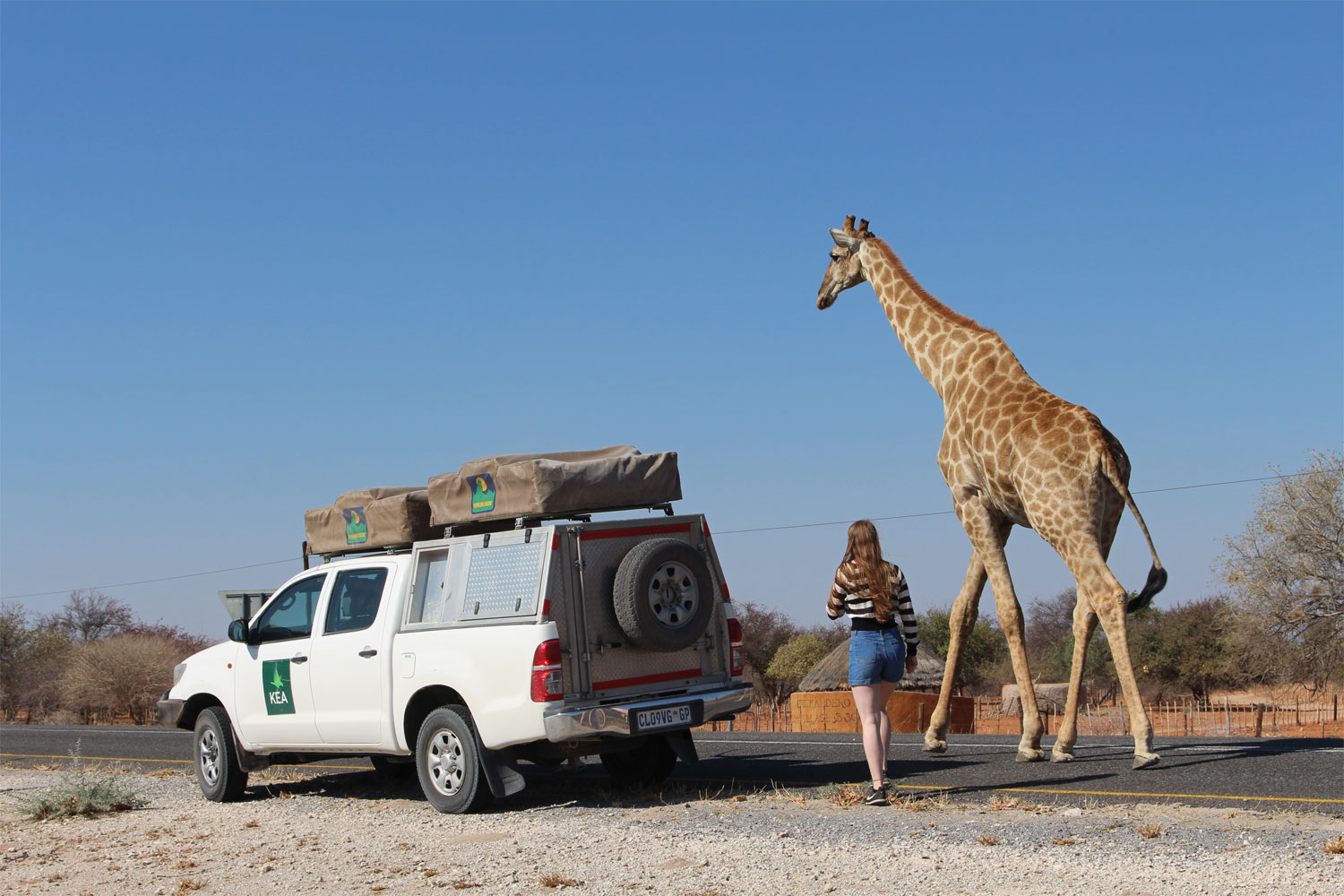Car rental Namibia
