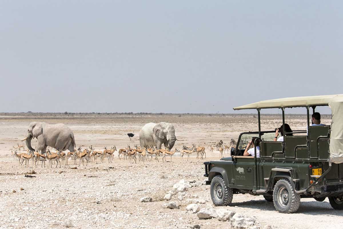 hire-a-car-namibia