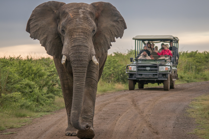 car-hire-johannesburg