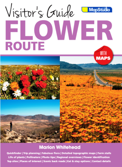 Four best places to visit in africa english edition